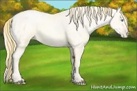 Horse Color:Buckskin Roan Pearl  and Amber Cream Champagne Roan Pearl 