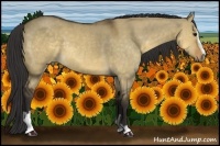 Horse Color:Buckskin Dun Sabino 