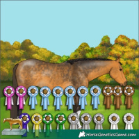 Horse Color:Buckskin 