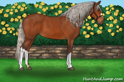 Horse Color:Silver Brown 