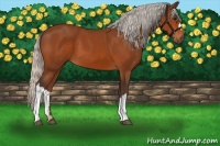 Horse Color:Silver Brown 