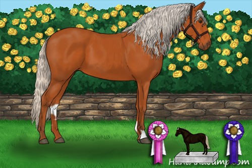 Horse Color:Silver Bay 