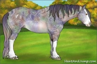 Horse Color:Nacre Brown Chinchilla Ice Splash Rabicano 
