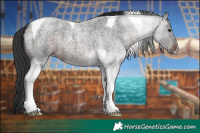 Horse Color:Brown Roan Tobiano 