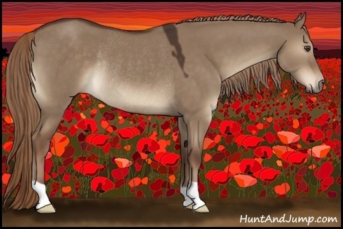 Horse Color:Liver Red Dun Rabicano 