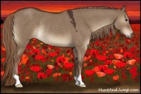 Horse Color:Liver Red Dun Rabicano 