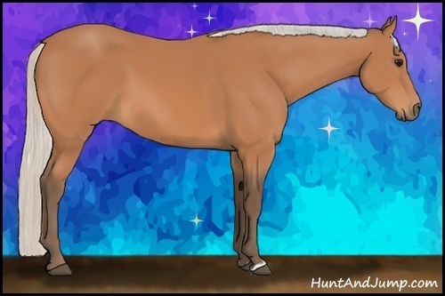 Horse Color:Silver Bay