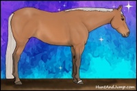 Horse Color:Silver Bay