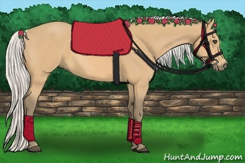 Horse Color:Silver Buckskin 