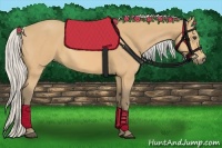 Horse Color:Silver Buckskin 