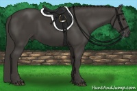 Horse Color:Smoky Black 