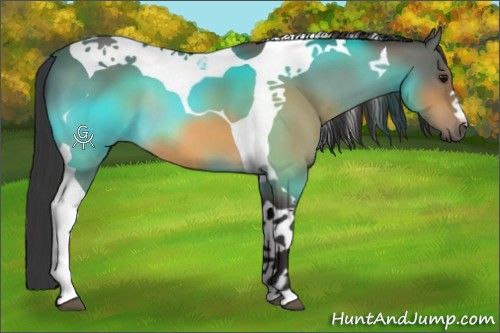 Horse Color:Buckskin Tobiano 