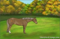 Horse Color:Chocolate Palomino