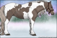 Horse Color:Silver Black Tobiano