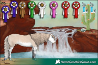 Horse Color:Perlino Splash