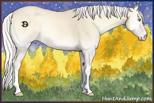 Horse Color:Silver Smoky Creme Onyx 