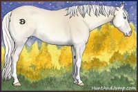Horse Color:Silver Smoky Creme Onyx 