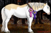 Horse Color:Silver Classic Champagne Dun Splash Frame 