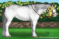 Horse Color:White Spotted Black Splash