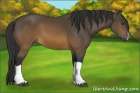 Horse Color:Brown 