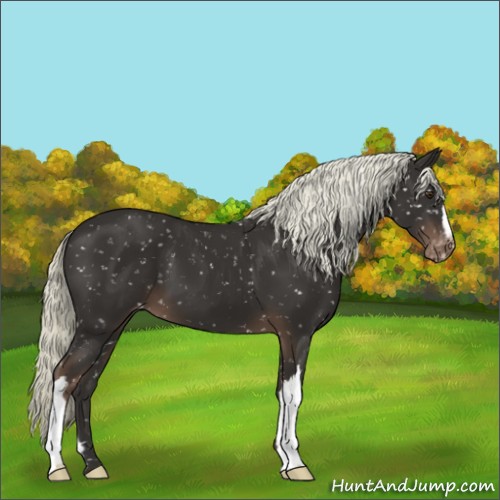 Horse Color:Liver Chestnut Mushroom Snowflake Varnish