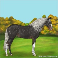 Horse Color:Liver Chestnut Mushroom Snowflake Varnish 