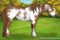 Horse Color:Chestnut Frame