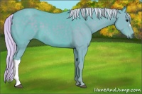 Horse Color:Watercolor Silver Black 