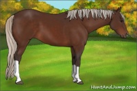 Horse Color:Silver Bay