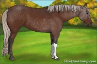Horse Color:Silver Brown 