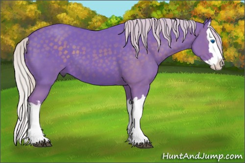 Horse Color:Watercolor Silver Black Splash 