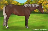 Horse Color:Silver Bay Sabino Rabicano 