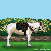 Horse Color:Silver Buckskin Pearl Tobiano 