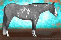 Horse Color:White Spotted Smoky Blue Roan Splash 