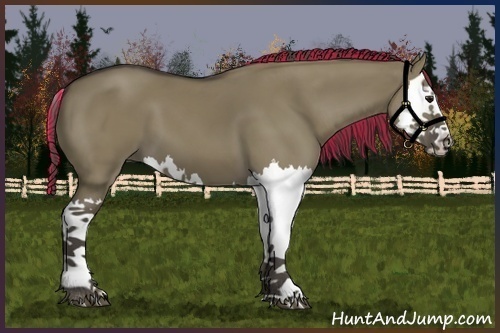 Horse Color:Painted Smoky Grullo Splash 