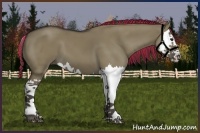 Horse Color:Painted Smoky Grullo Splash 