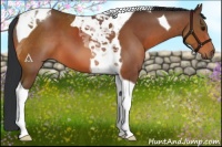 Horse Color:Bay Tobiano 
