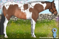 Horse Color:Bay Tobiano Rabicano 