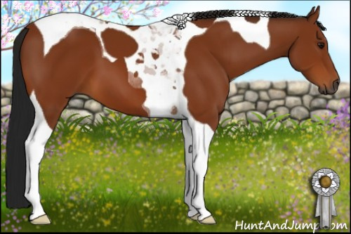 Horse Color:Gray Bay Tobiano 