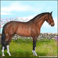 Horse Color:Brown Rabicano 