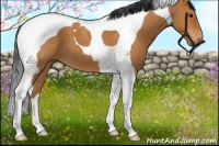 Horse Color:Bay Tobiano