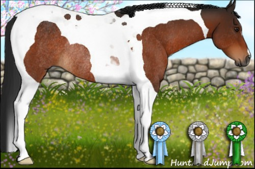 Horse Color:Gray Brown Tobiano Rabicano