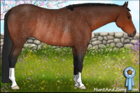 Horse Color:Gray Bay Rabicano