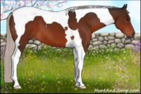 Horse Color:Gray Silver Brown Tobiano 