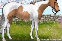 Horse Color:Bay Tobiano Rabicano 