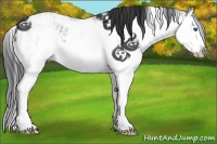 Horse Color:Black Sabino Splash