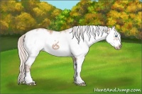Horse Color:White Spotted Silver Bay Ice Splash Frame 