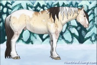 Horse Color:Amber Champagne Onyx Tobiano Brindle 
