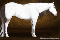Horse Color:Sable Champagne Ice Onyx Sabino Splash Near Fewspot 