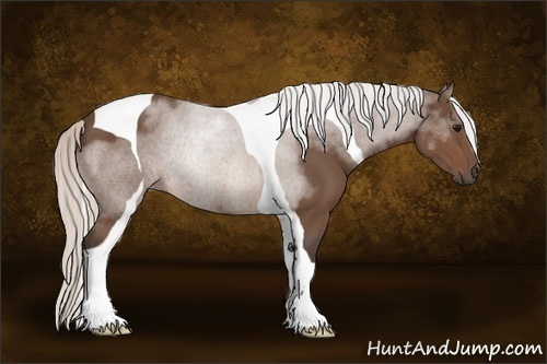 Horse Color:Silver Brown Tobiano 